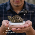 Dhan Raksha Pyrite Tortoise w/ Free Selenite Plate