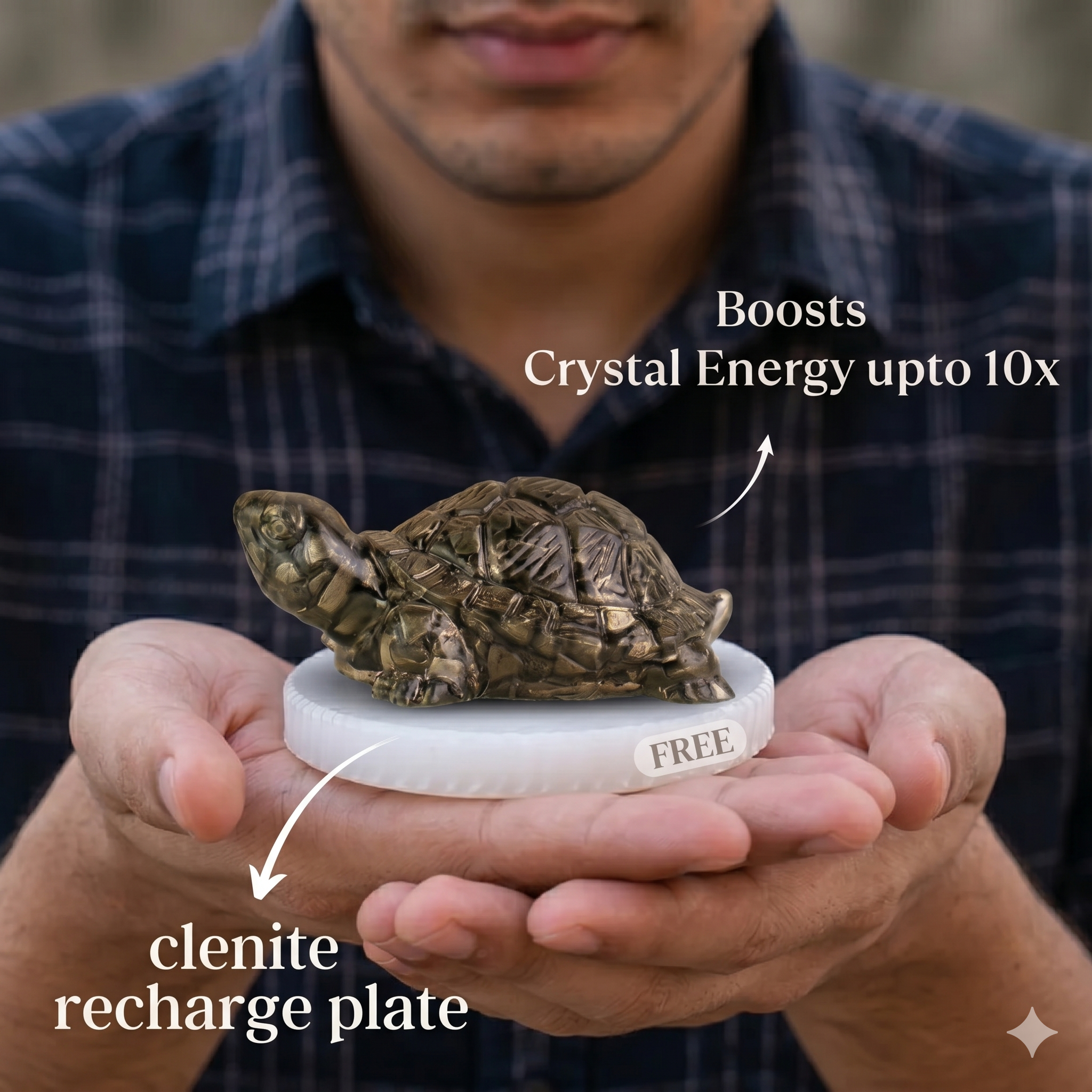 Dhan Raksha Pyrite Tortoise w/ Free Selenite Plate